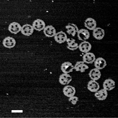 A long chain of smiley faces. (Image: Paul Rothemund/Caltech)